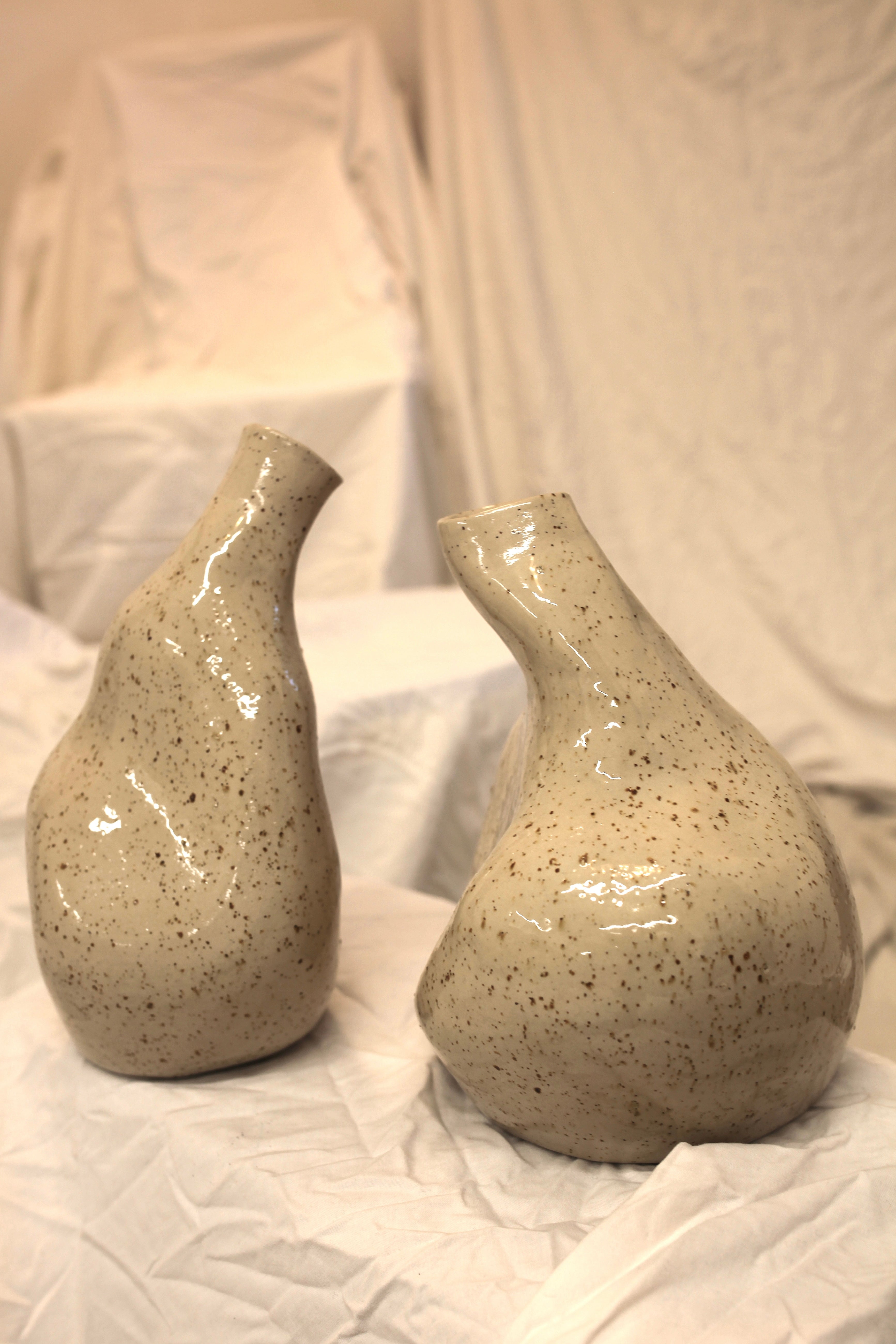 vazi CONCORDIA in HARMONIA