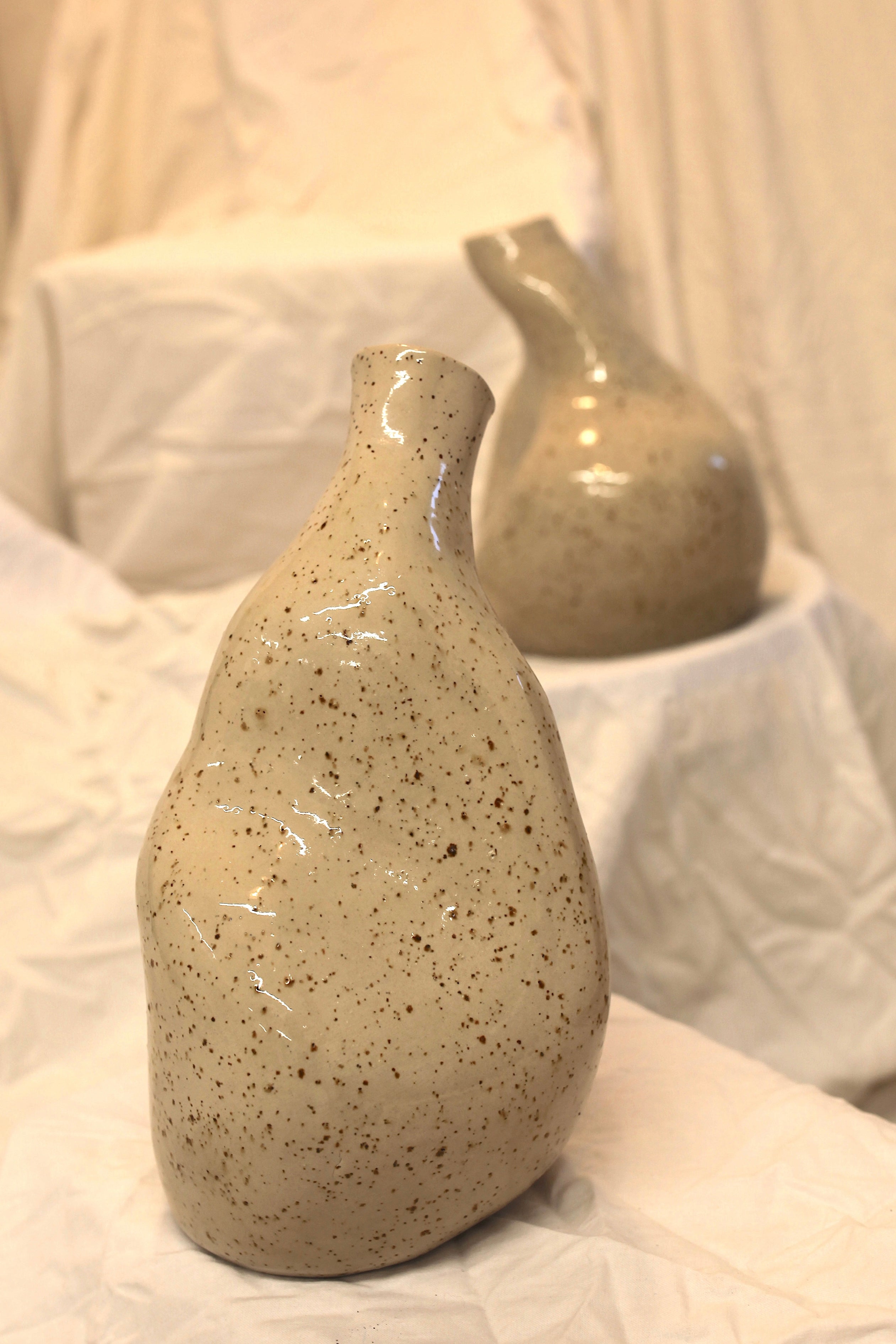 vazi CONCORDIA in HARMONIA