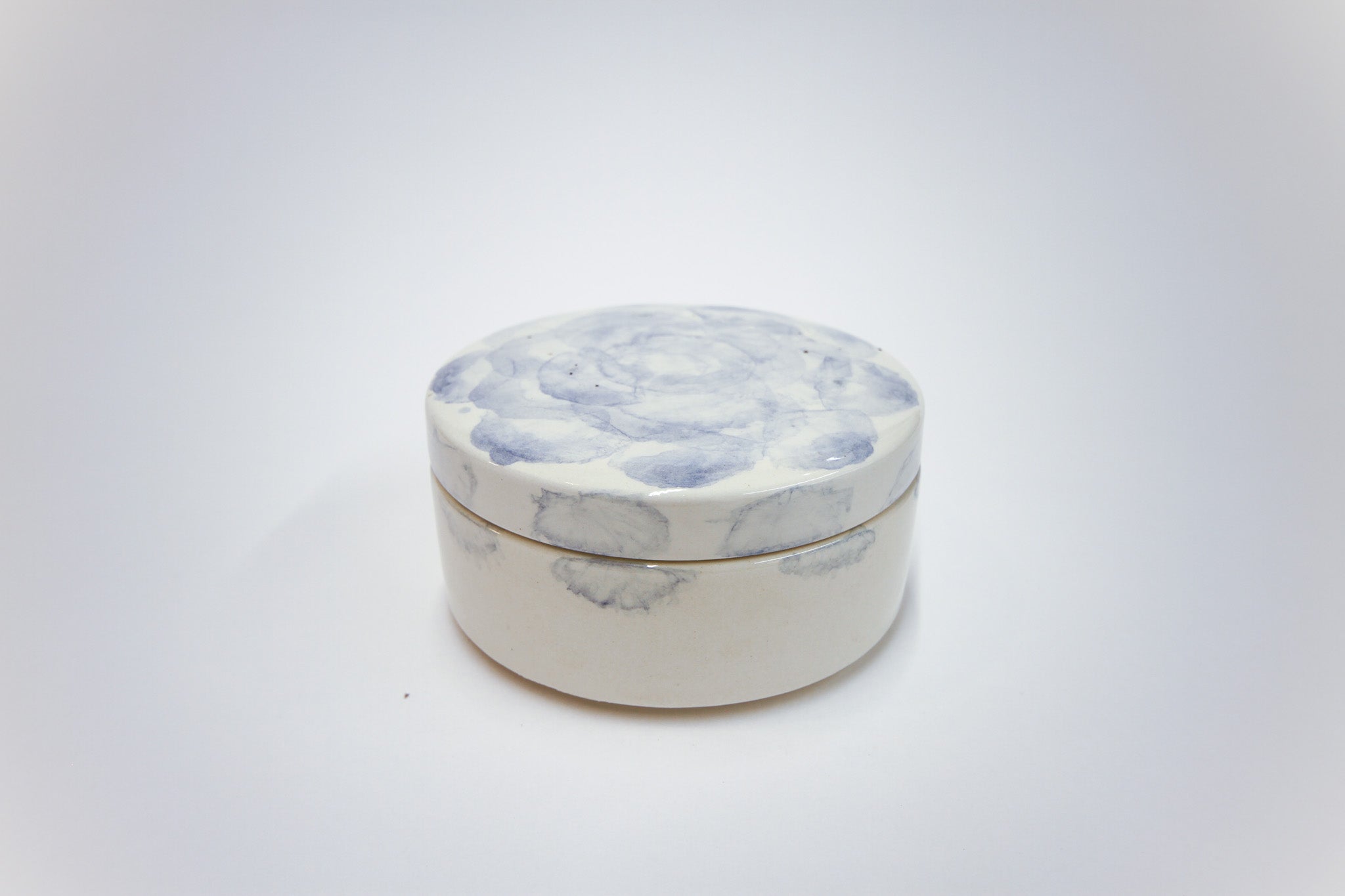 šatulja MODRA POTONIKA