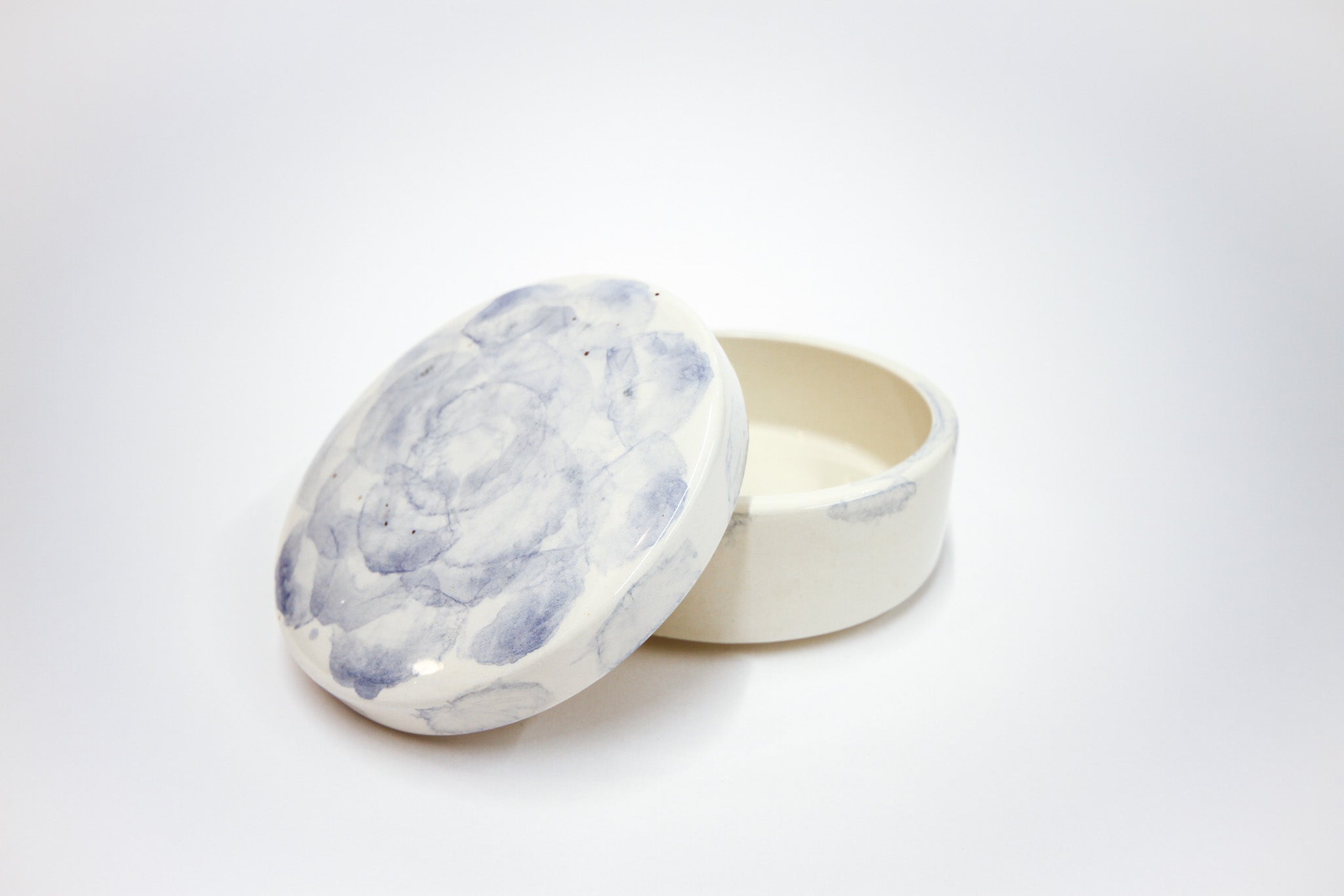 šatulja MODRA POTONIKA