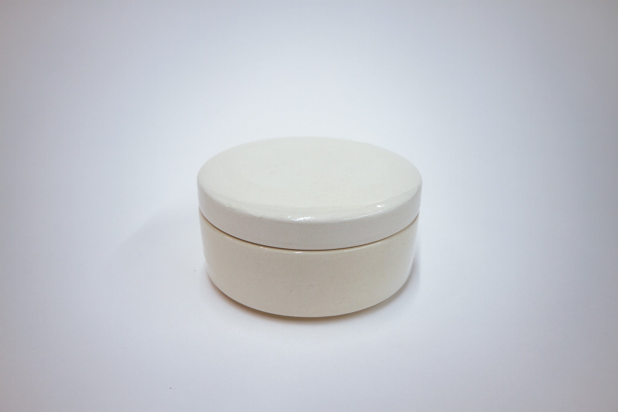 šatulja SKRITA MODRA POTONIKA